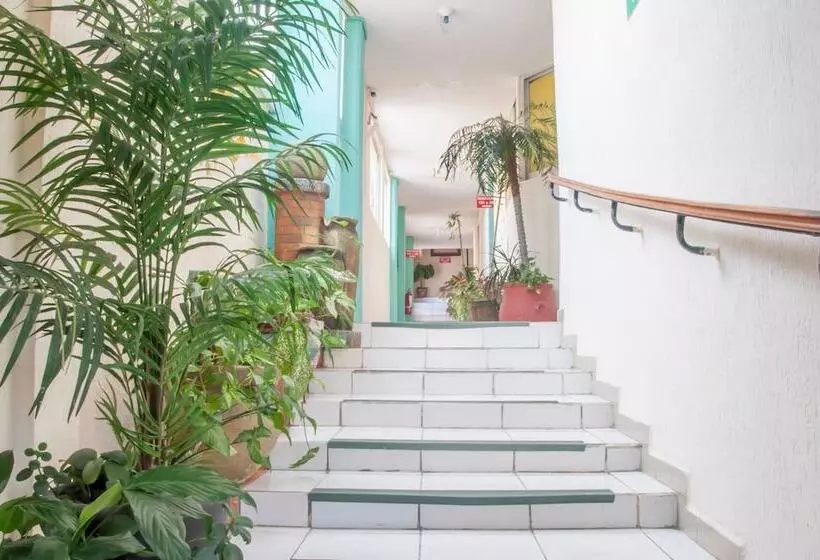 Hotelli Y Suites Continental