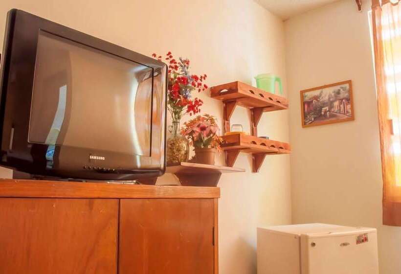 فندق Y Suites Continental