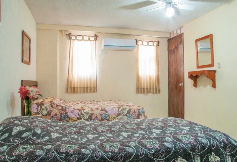 فندق Y Suites Continental