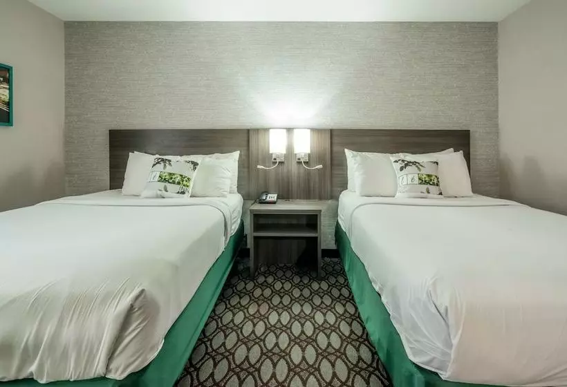 Hotelli Letap  Near Airtrain Jfk Airport