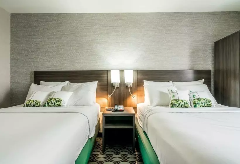 Hotelli Letap  Near Airtrain Jfk Airport