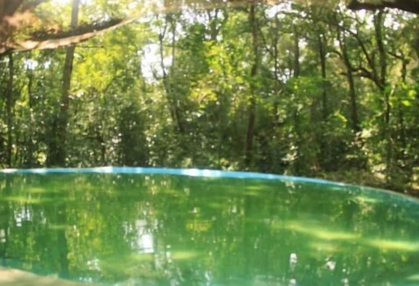 ホテル Book Jungle