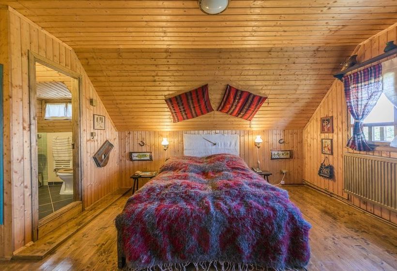 호텔 Gradina Vlahiia