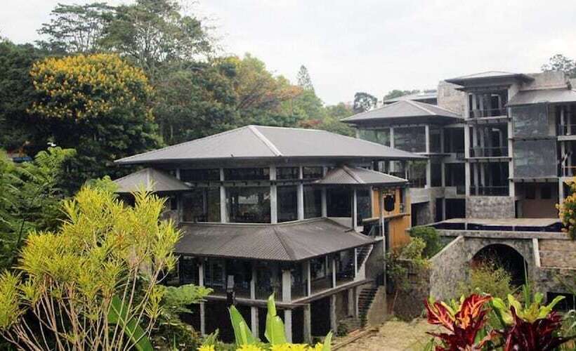 בית מלון כפרי Oak Ray Ella Gap