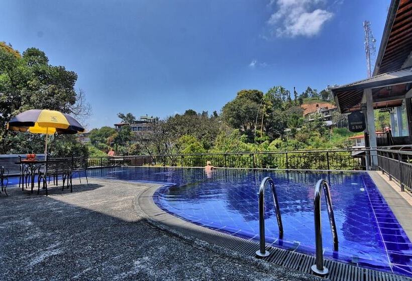 בית מלון כפרי Oak Ray Ella Gap