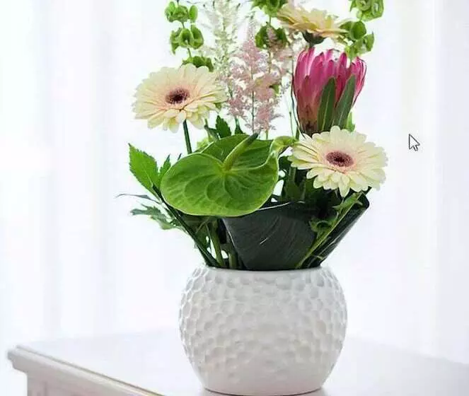 ホテル Sulina International