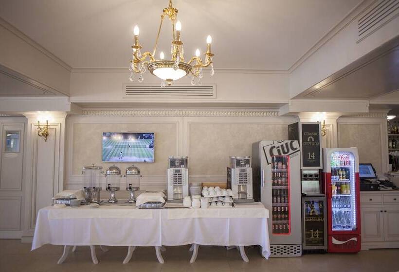 호텔 Sulina International