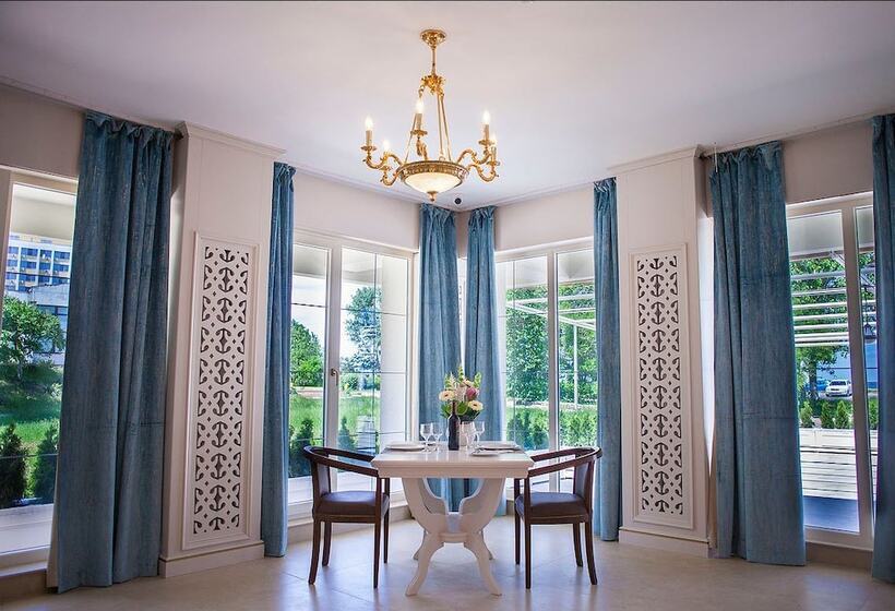 호텔 Sulina International