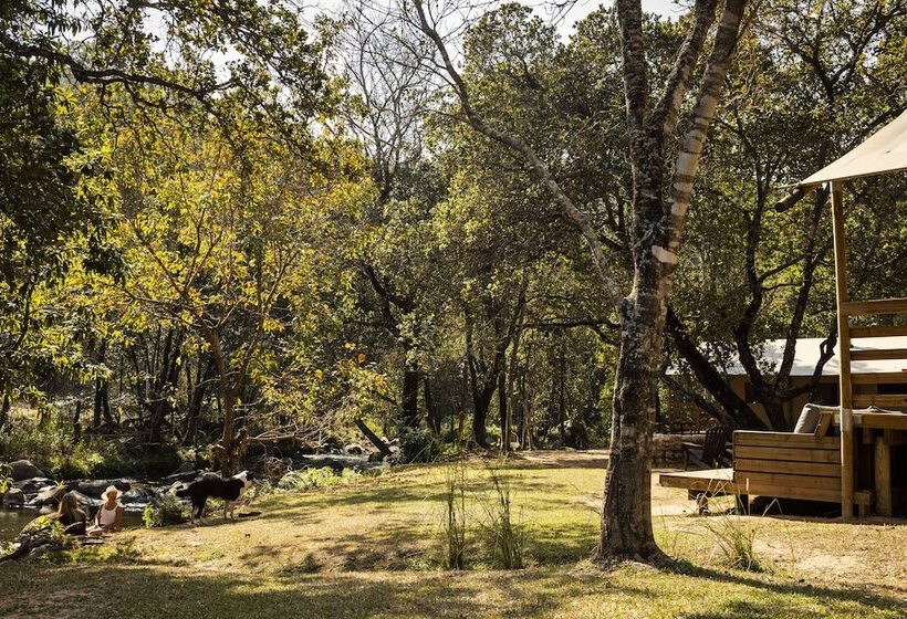 בית מלון כפרי Africamps At Mackers   Glamping