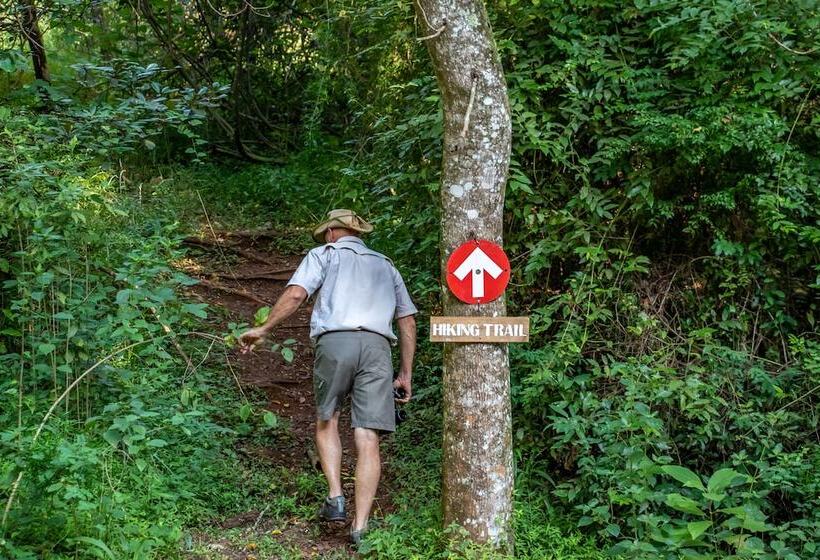 בית מלון כפרי Africamps At Mackers   Glamping
