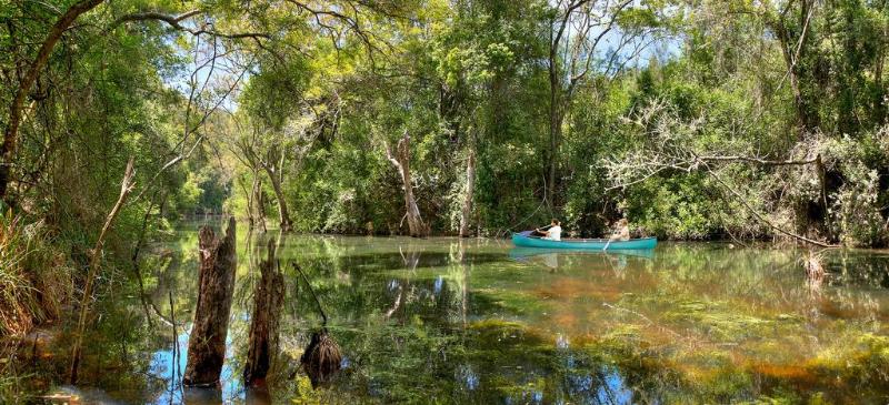 Отель Ingwe Forest Cabins & Adventures