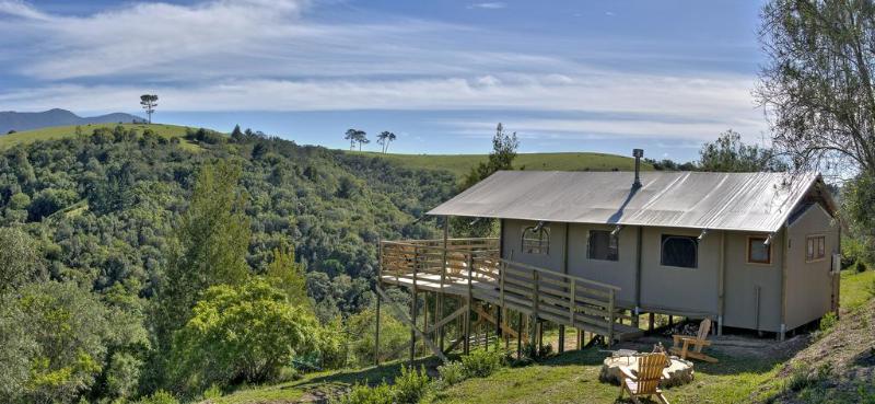 Отель Ingwe Forest Cabins & Adventures