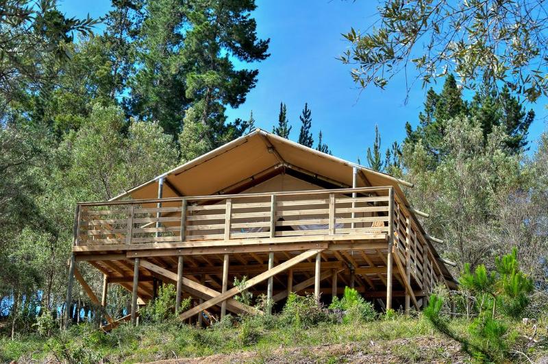Отель Ingwe Forest Cabins & Adventures
