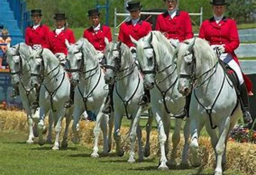 Hotel Kyalami Beaulieu Haven