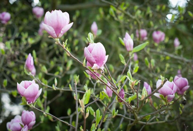 酒店 Garni Pod Skalkou