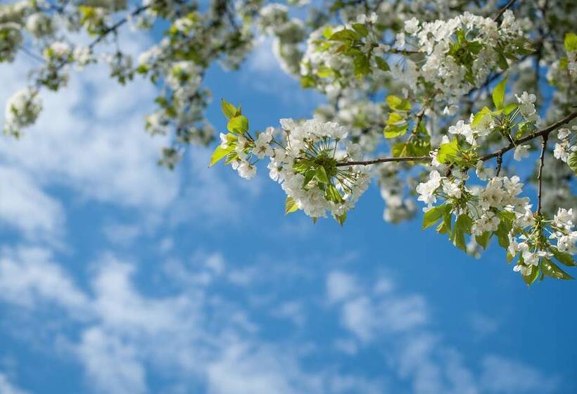 酒店 Garni Pod Skalkou