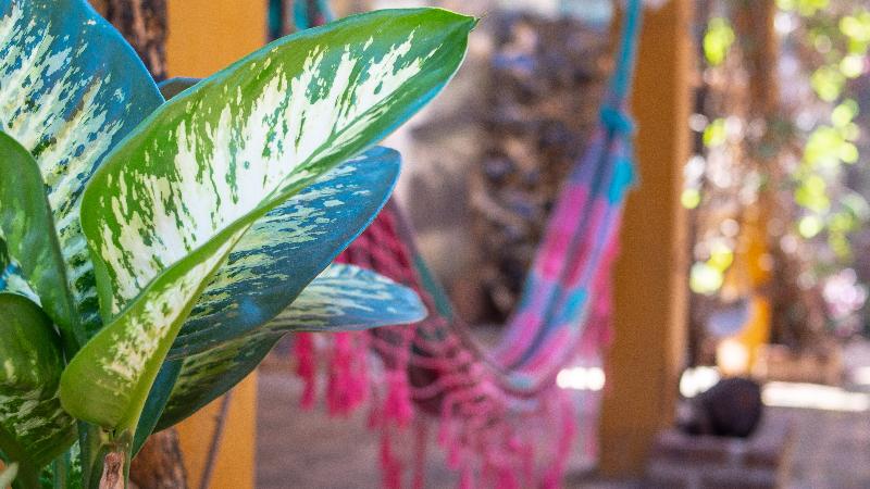 בית מלון כפרי Posada Los Tajibos