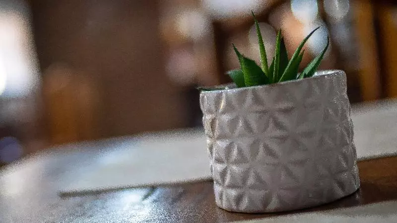 Hotelli Posada Los Tajibos