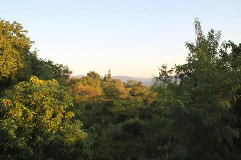 ホテル Safari Bed & Breakfast