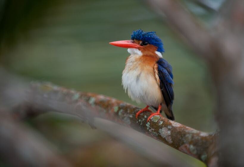 هتل Sundy Praia – Principe Collection