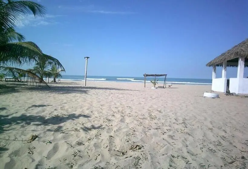 تختخواب و صبحانه Mangrove Beach