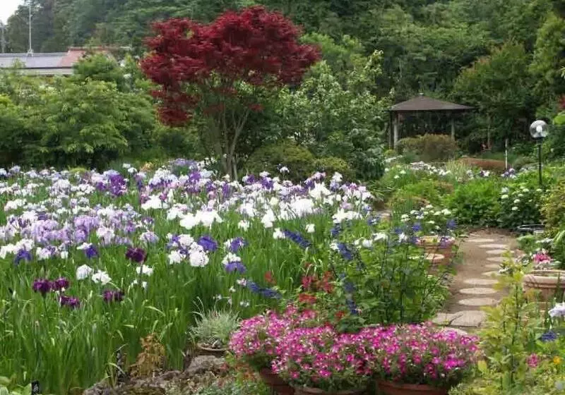 Hotelli Ryokan Hanareya Ishidaya