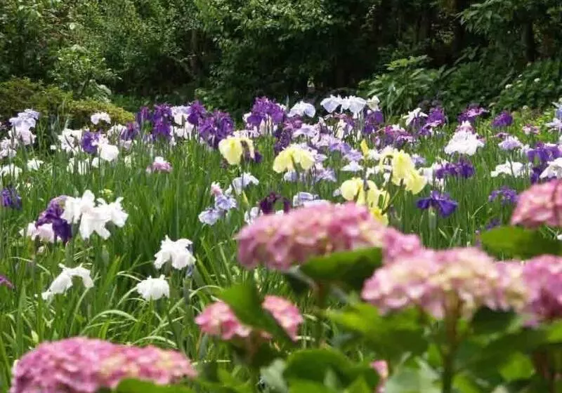 Hotelli Ryokan Hanareya Ishidaya
