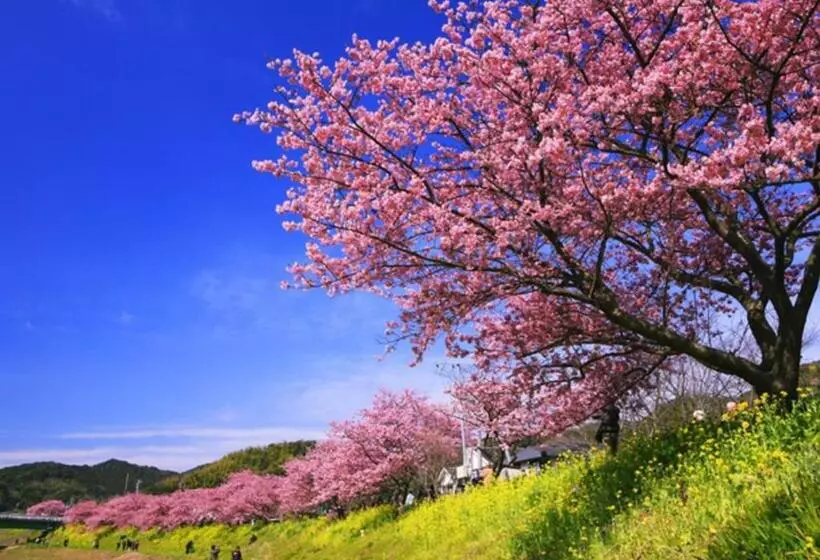 Hotelli Lenessa Akazawa