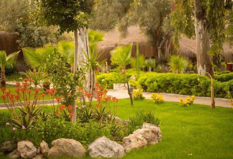 Hotel Sugar Beach Club