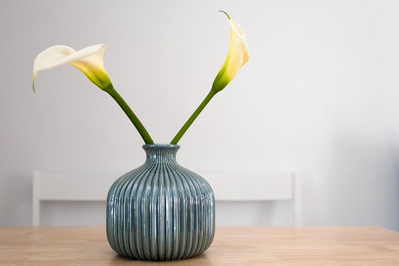 Hotel White Harmony Suites