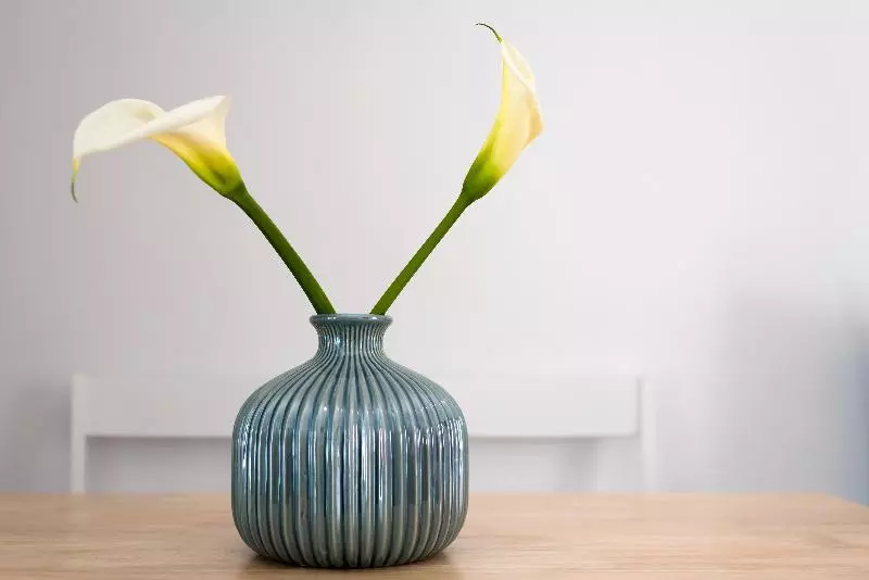 Hotelli White Harmony Suites