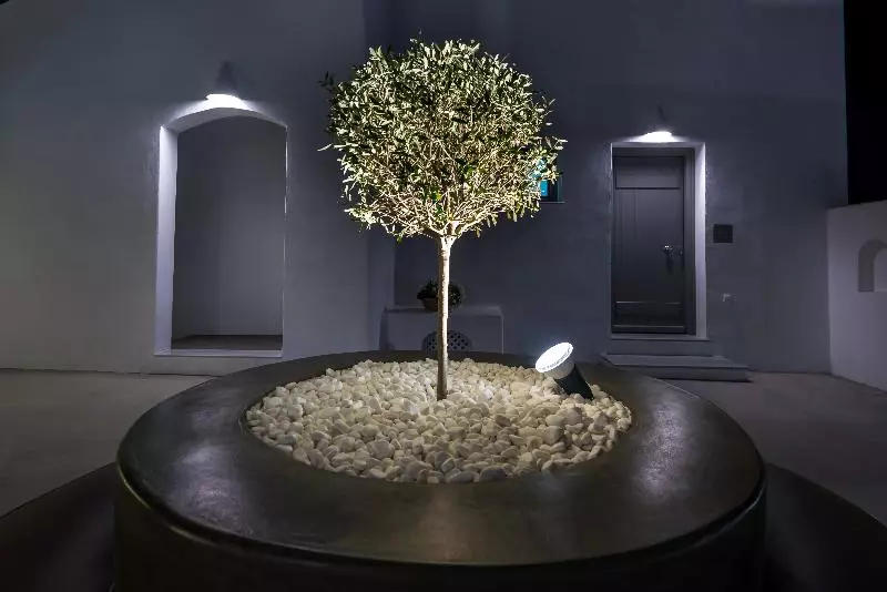 Hotelli White Harmony Suites