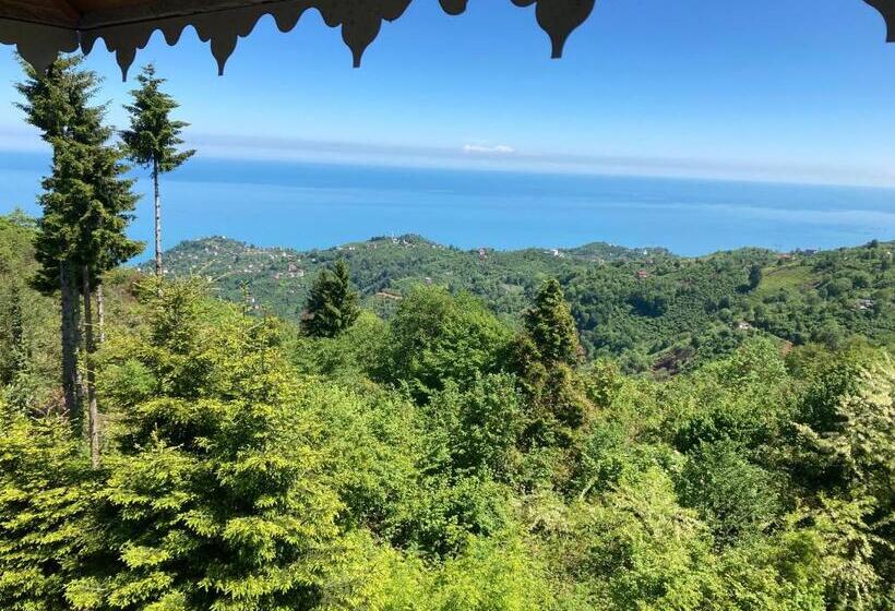 هتل Zarha Mountain Resort