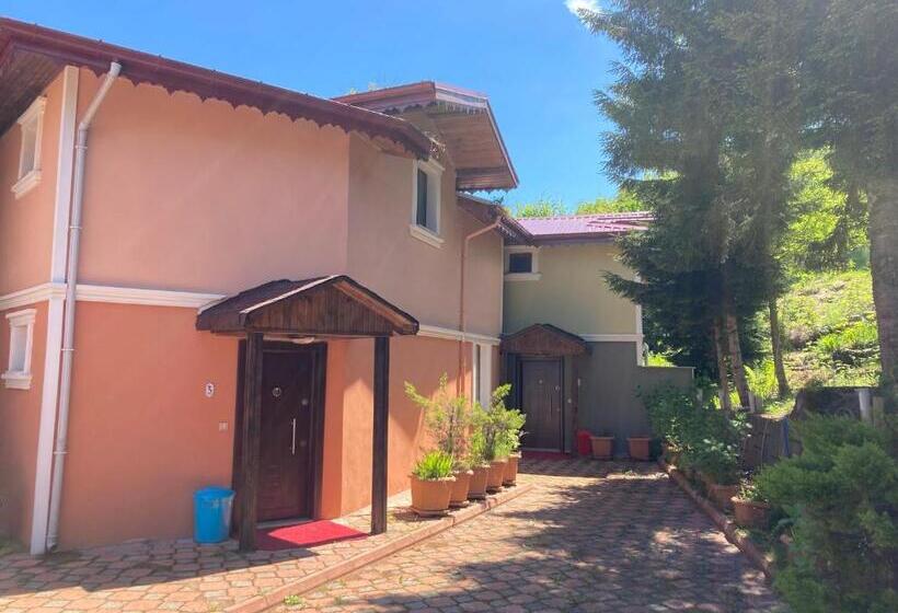 هتل Zarha Mountain Resort