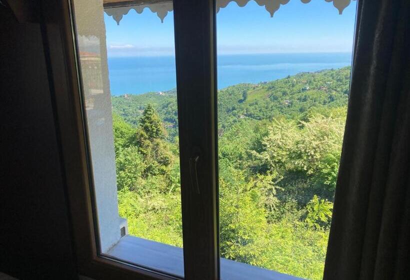 هتل Zarha Mountain Resort