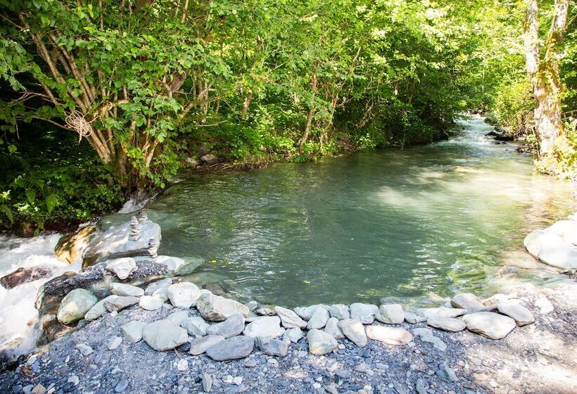 Art Hotel Yolki   Hostel