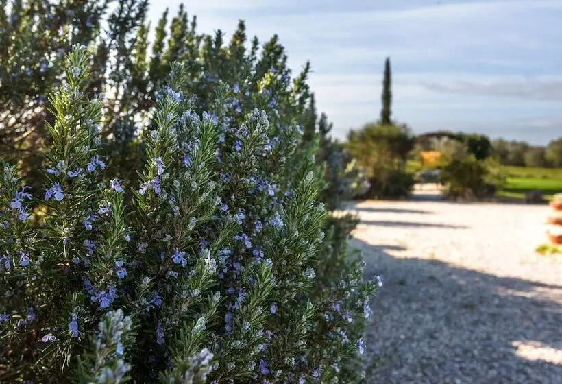 هتل Agriturismo Il Macchione
