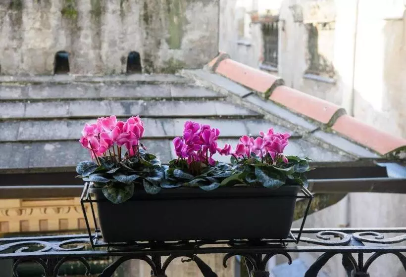 Hotelli B&b Piccoli Leoni