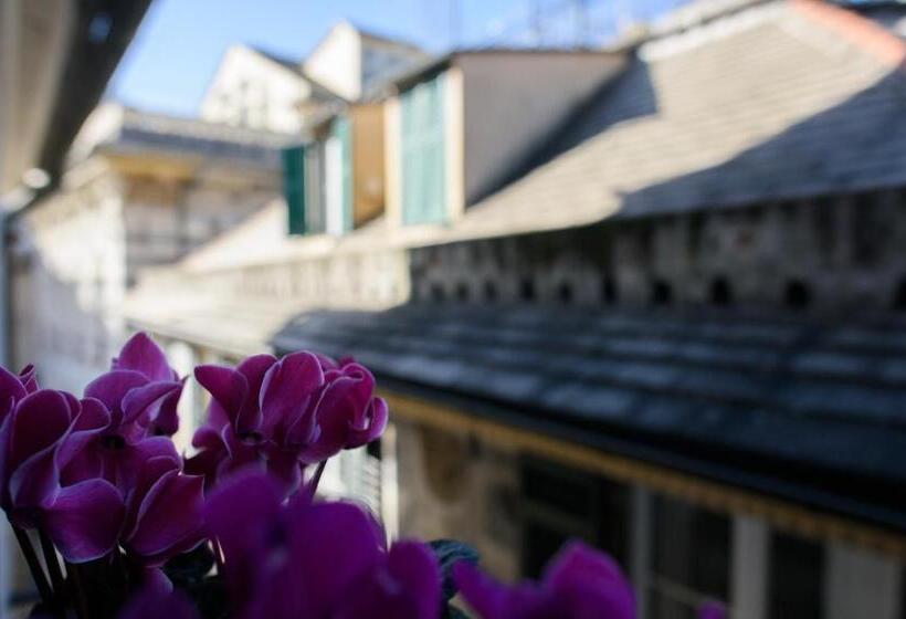 Otel B&b Piccoli Leoni