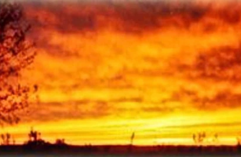 فندق Belle Aire Mansion Guest House