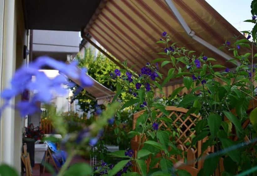 ホテル Domus Socolatae Apartments&suites