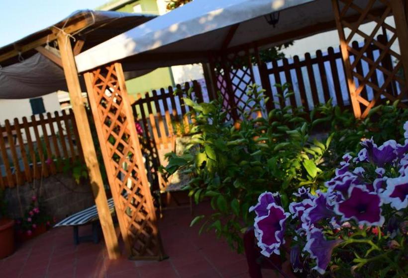 ホテル Domus Socolatae Apartments&suites