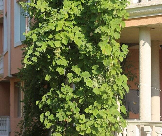 هتل Hacienda Beach Resort