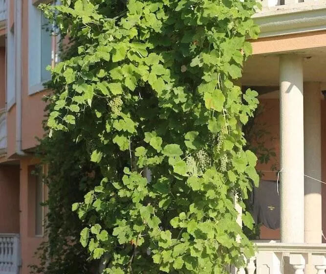 Hotelli Hacienda Beach Resort