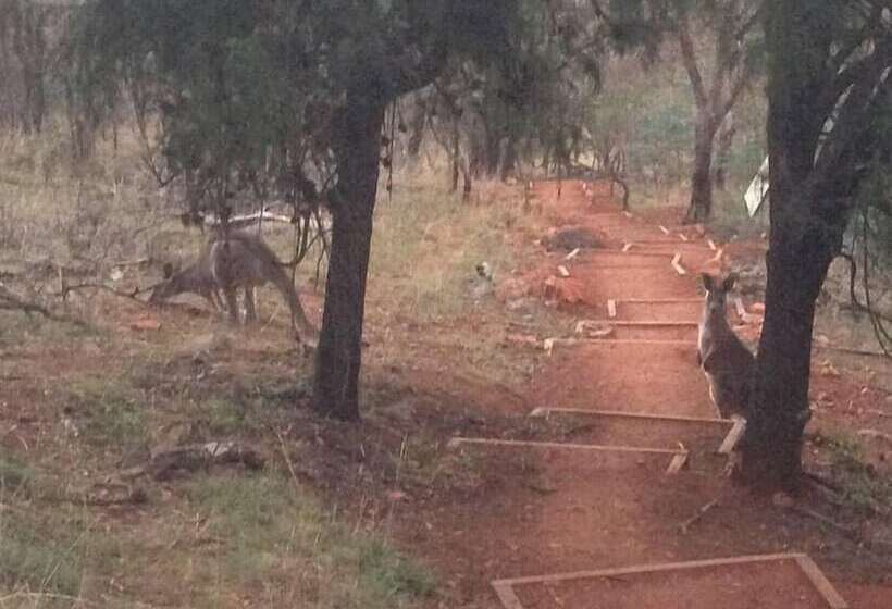 בית מלון כפרי 1913 Collective