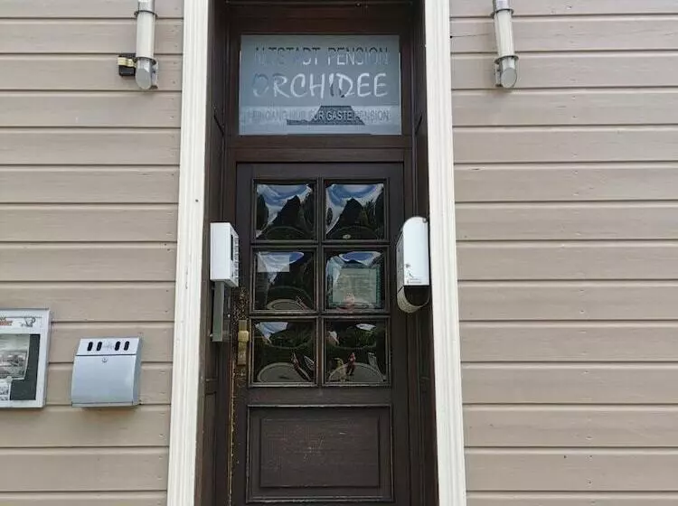 Hotelli Altstadt Pension Orchidee