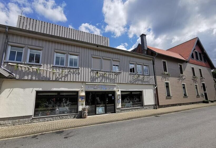 فندق Altstadt Pension Orchidee