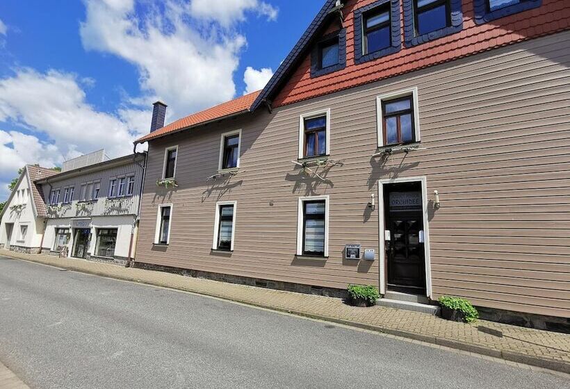 فندق Altstadt Pension Orchidee