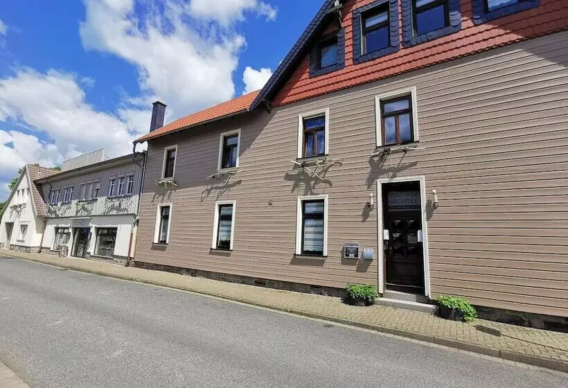 Hotelli Altstadt Pension Orchidee