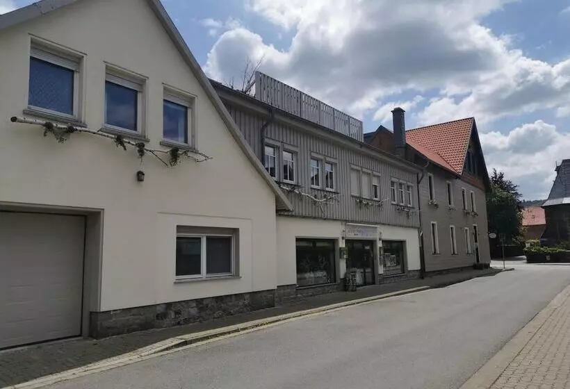 Hotelli Altstadt Pension Orchidee